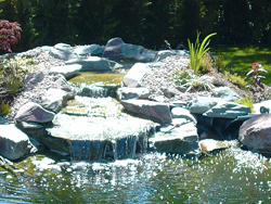 Classic Ponds - Pond Building - Pond Maintenance - Koi and Pond Products